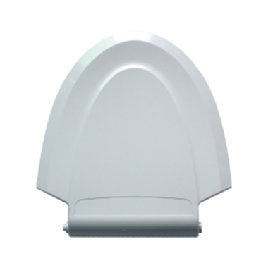 Intelligent toilet mould