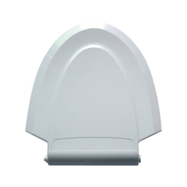 Intelligent toilet mould