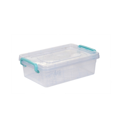 Organize box molds