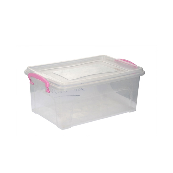Organize box molds