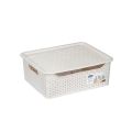 Storage box mold