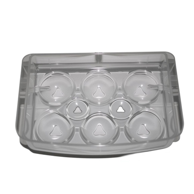 Refrigerator mould