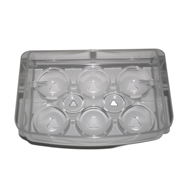 Refrigerator mould