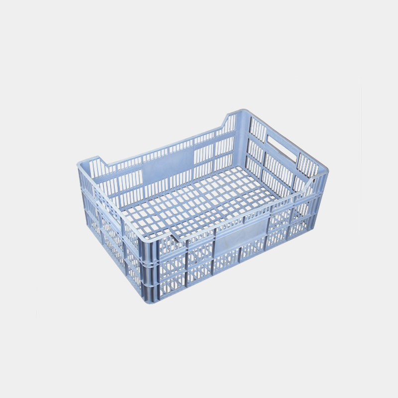 Delicate crate plastic mould